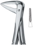 Tooth Ext Forceps